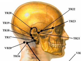 Triplice-Riscaldatore-Shiatsu