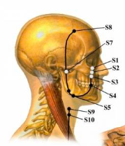 Meridiano-Stomaco-Shiatsu